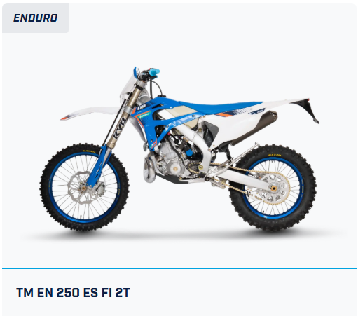 TM EN 250 ES Fi 2T